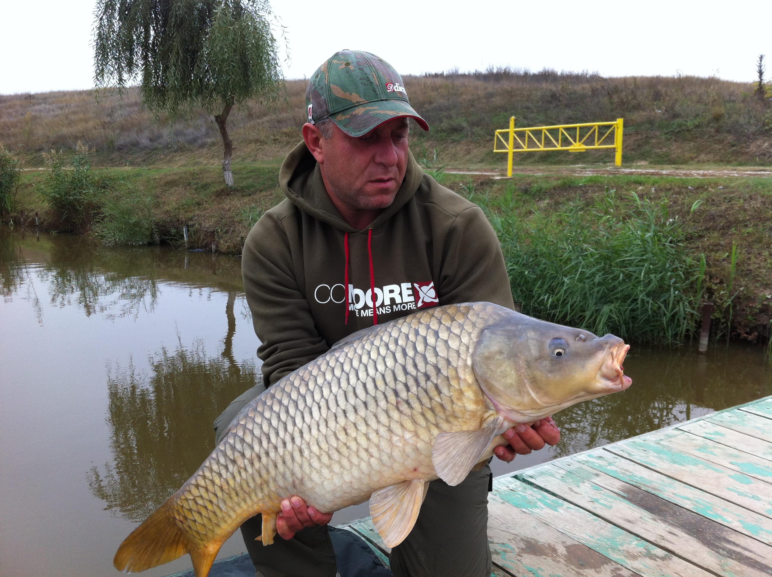 Moara Vlasiei - 2178.JPG